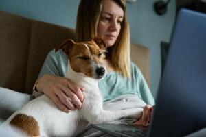 mulher com fofa cachorro deitado dentro cama e usando computador portátil às manhã foto