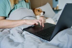 mulher com fofa cachorro deitado dentro cama e usando computador portátil às manhã foto