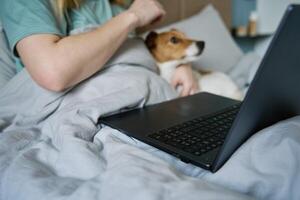 mulher com fofa cachorro deitado dentro cama e usando computador portátil às manhã foto