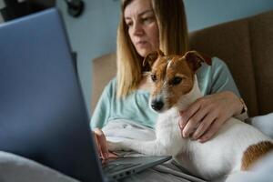 mulher deitado dentro cama com cachorro e usar computador portátil para trabalhando foto