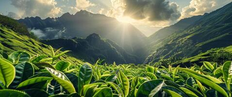 ai gerado Sol brilha através nuvens dentro a montanhas foto