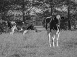 a pequena aldeia weseke em westphalia foto