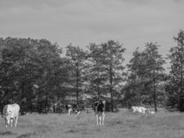 a pequena aldeia weseke em westphalia foto