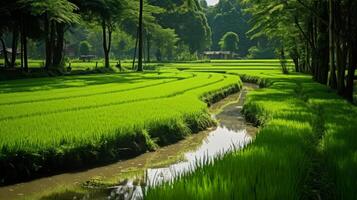 ai gerado uma verde arroz arroz com água e montanhas dentro a distância foto