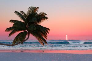 tropical Palma árvore em de praia às pôr do sol foto