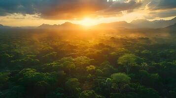 ai gerado pôr do sol sobre exuberante tropical floresta tropical com névoa e raios solares piercing através a nuvens foto