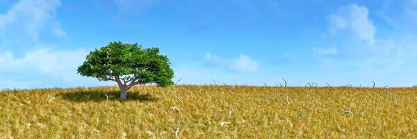 solitário verde árvore florescente dentro uma grande dourado pastagem debaixo uma Claro azul céu foto