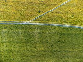 aéreo Visão em verde trigo campo e estrada dentro interior. campo do trigo sopro dentro a vento em pôr do sol. jovem e verde espigas. orelhas do cevada colheita dentro natureza. agronomia, indústria e Comida Produção foto