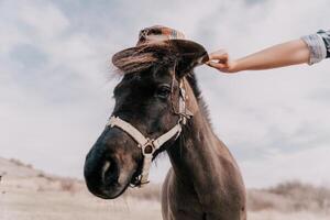 jovem feliz mulher com dela pónei cavalo dentro tarde pôr do sol claro. ao ar livre fotografia com moda modelo garota. estilo de vida humor. oncept do ao ar livre cavalgando, Esportes e lazer. foto