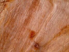 textura do eucalipto madeira fundo foto