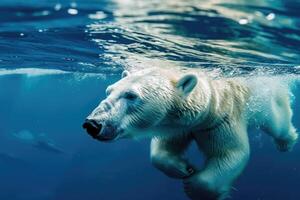 ai gerado polar Urso natação dentro a azul artic oceano em uma Claro ensolarado dia foto