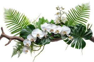 ai gerado floral arranjo com tropical folhas e orquídeas. tropical flor decoração em árvore ramo em branco fundo. foto