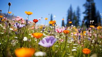 ai gerado florescendo flores silvestres cobertura uma cênico campo foto