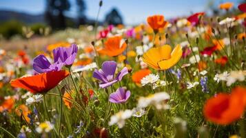 ai gerado sereno panorama adornado com colorida selvagem floresce foto