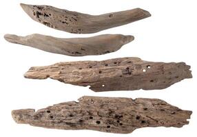 conjunto do madeira flutuante isolado em branco fundo. peças do mar deriva madeira. envelhecido ramo. foto
