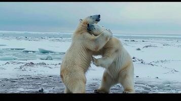 ai gerado dois polar ursos jogando com cada de outros dentro a tundra. foto