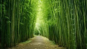 ai gerado alta e gracioso bambu Arvoredo panorama foto