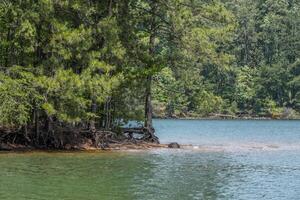 litoral erosão em a lago foto