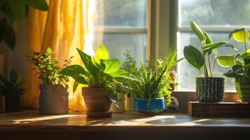 ai gerado casa plantas em uma peitoril da janela dentro luz solar. foto