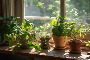 ai gerado casa plantas em uma peitoril da janela dentro luz solar. foto