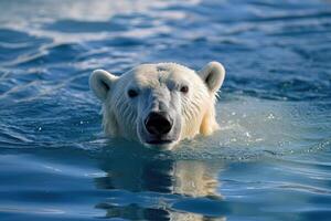 ai gerado polar Urso natação dentro a azul artic oceano em uma Claro ensolarado dia foto