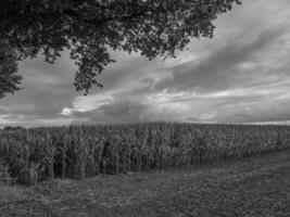 o muensterland alemão foto