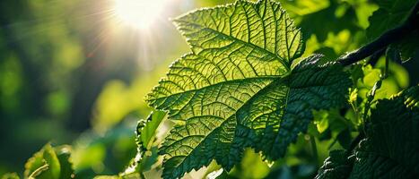 ai gerado luz solar manchas através vibrante verde folhas, fundição uma caloroso brilho e destacando seus intrincado veia padrões foto