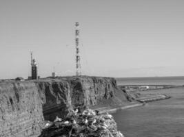 a ilha de helgoland foto