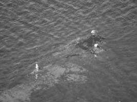 a ilha de helgoland foto