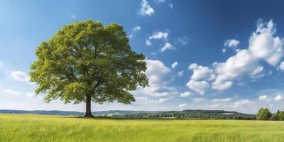 ai gerado uma país paisagem, uma ampla bordo árvore dentro uma Prado com verde Relva e lindo azul céu. foto