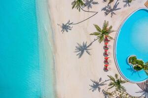 foto aérea da bela praia tropical do paraíso das Maldivas. vista incrível, lagoa azul turquesa, palmeiras e praia de areia branca. destino de férias de viagens de luxo. paisagem aérea ensolarada