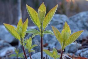 ai gerado brilhante Primavera vegetação natureza profissional fotografia foto