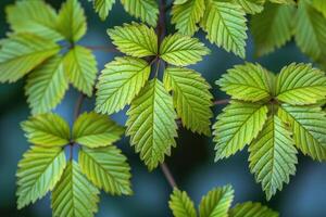 ai gerado brilhante Primavera vegetação natureza profissional fotografia foto