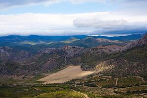 lindo vale dentro a montanhas com vinhas foto