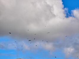 branco fofo nuvens dentro a profundo azul céu. céu fundo foto