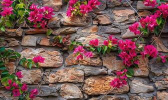 ai gerado buganvílias flores em pedra parede fundo, seletivo foco foto