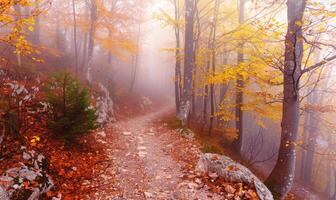 ai gerado outono floresta dentro a névoa. a caminho dentro a outono floresta foto