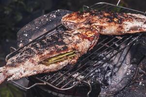 a rubi peixe é revestido com sal e colocada em uma carvão grade dentro uma argila forno. foto