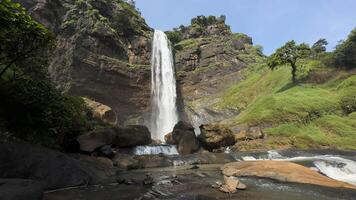 fundo natureza panorama cascata dentro a selva com pedras e árvores foto