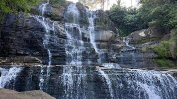 fundo natureza panorama cascata dentro a selva com pedras e árvores foto