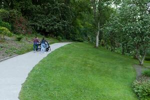 dois mãe empurrando bebê transporte em a trilha dentro a parque botânico jardim le vallon du picada alar brest França 27 pode 2018 foto