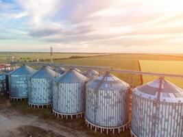 grão silos em uma verde campo fundo com caloroso pôr do sol claro. grão elevador. metal grão elevador dentro agrícola zona. agricultura armazenamento para colheita. aéreo Visão do agrícola fábrica. ninguém. foto