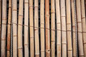 seco bambu parede amarrado com corda textura fundo, bambu cerca fundo, bambu bastão padronizar foto