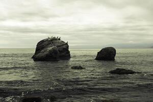 grande pedra dentro a mar foto