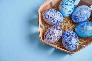 azul cosmos frango ovos mentira dentro volta de madeira cesta que carrinhos em uma azul fundo. foto