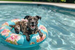 ai gerado cachorro flutuando dentro natação piscina dentro inflável anel em verão período de férias. fofa animal em uma andar. adorável cachorro dentro piscina foto