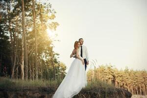 Casamento dia. a noivo abraços a noiva, amoroso casal dentro uma pinho floresta. mulher ternamente abraçando a homem foto