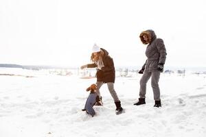 uma jovem casal, uma homem e uma mulher estão caminhando com seus cachorro dentro a inverno coberto de neve floresta. inverno lazer. cachorro amantes foto