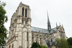 França. Paris Junho 01, 2018 turistas visitando a Cathedrale notre dame de Paris é uma a maioria famoso catedral 1163 - 1345 em a Oriental metade do a citar ilha. foto