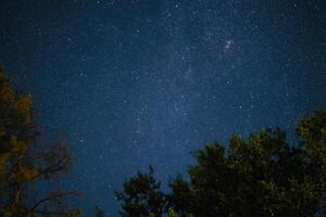 leitoso caminho sobe sobre a pinho árvores em uma primeiro plano Estrela noite sobre bosque foto